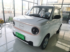 吉利银河 2024款 熊猫mini 200km 耐力熊