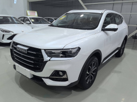 哈弗H6 2025款 1.5T 国潮都市版