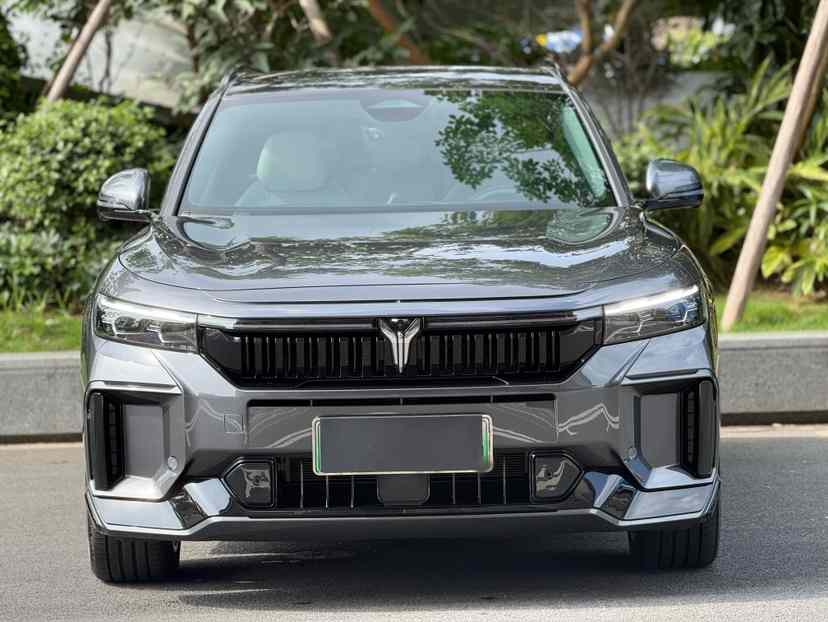 岚图汽车 岚图FREE 2025款 318 318km 后驱环游版(5)