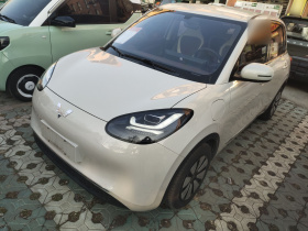 五菱汽车 五菱缤果 2024款 333km 悦享款