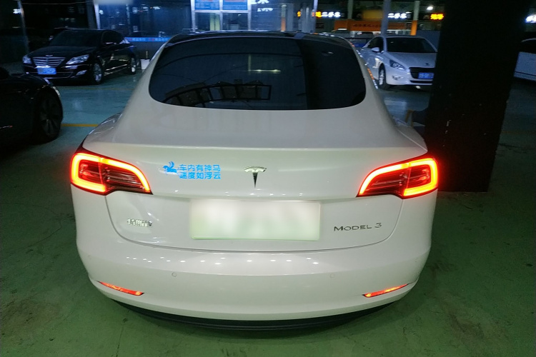 特斯拉 Model 3 2021款 标准续航后驱升级版车身外观6004