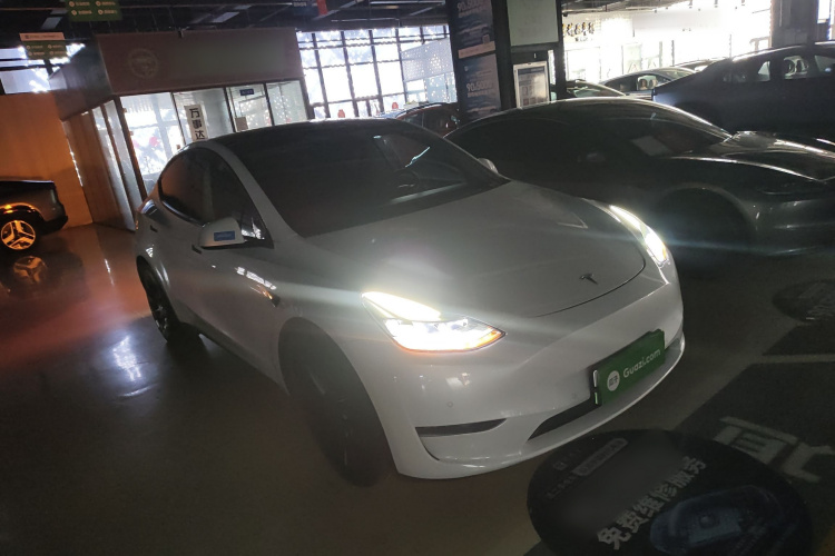 特斯拉 Model Y 2021款 长续航全轮驱动版车身外观6002