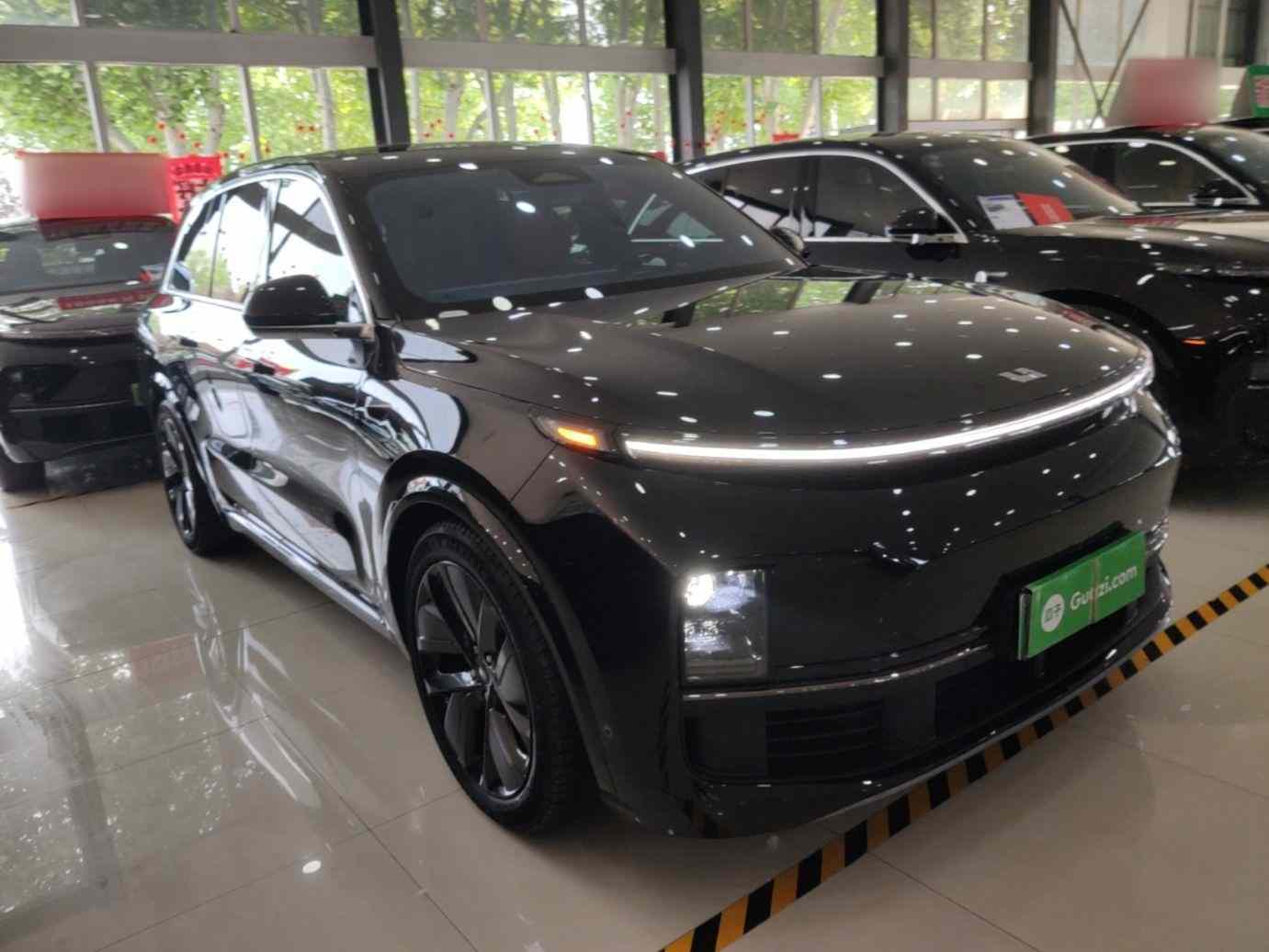 理想汽车 理想L8 2024款 Pro(5)