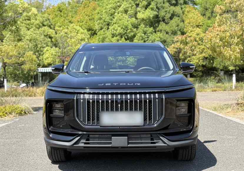捷途X90 PRO 2024款 1.6T DCT至臻版 7座(4)