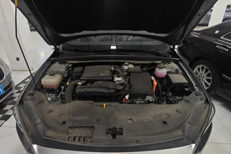 比亚迪 秦PLUS 2024款 荣耀版 DM-i 55KM领先型机舱底盘24