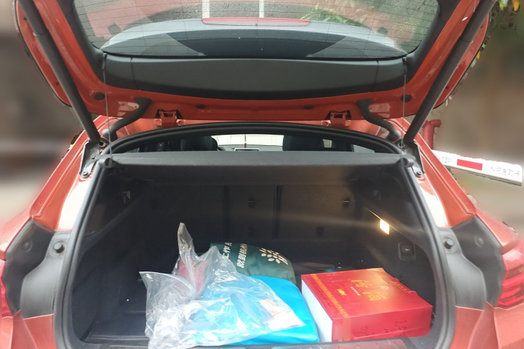 宝马X2(进口) 2018款 sDrive25i 豪华型M越野套装 国V局部细节23