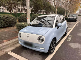 欧拉黑猫 2022款 351km 舒适型 三元锂