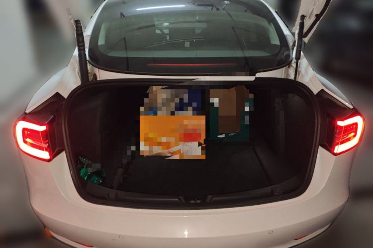 特斯拉 Model 3 2021款 标准续航后驱升级版局部细节23