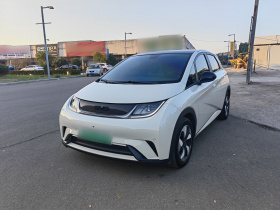 比亚迪 海豚 2024款 荣耀版 420km 时尚版