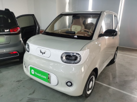 五菱汽车 宏光MINIEV 2024款 第三代 215km 青春版