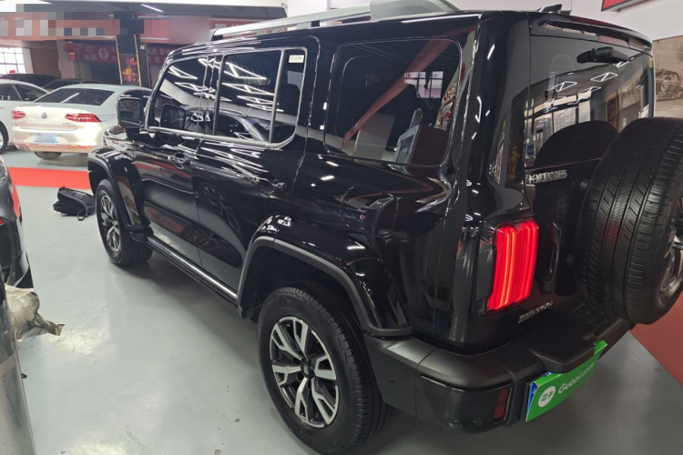 坦克300 2024款 2.0T 穿越者车身外观6003