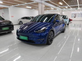特斯拉 Model Y 2021款 Performance高性能全轮驱动版