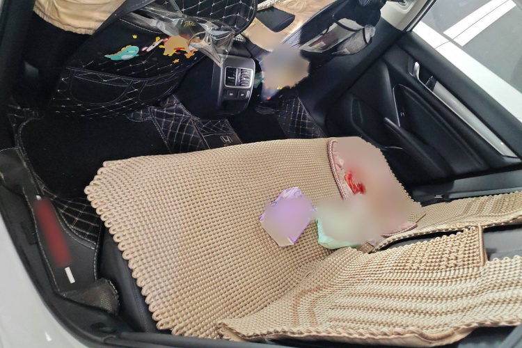 本田 雅阁 2022款 260TURBO 豪华版中控内饰7004