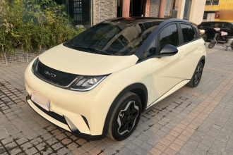 比亚迪 海豚 2021款 405km 时尚版