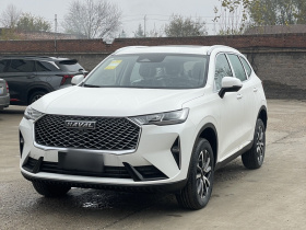 哈弗H6 2025款 1.5T 国潮冠军版