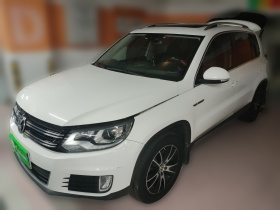 大众 途观 2016款 330TSI 自动四驱豪华版