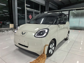 五菱汽车 宏光MINIEV 2025款 四门版 进阶款