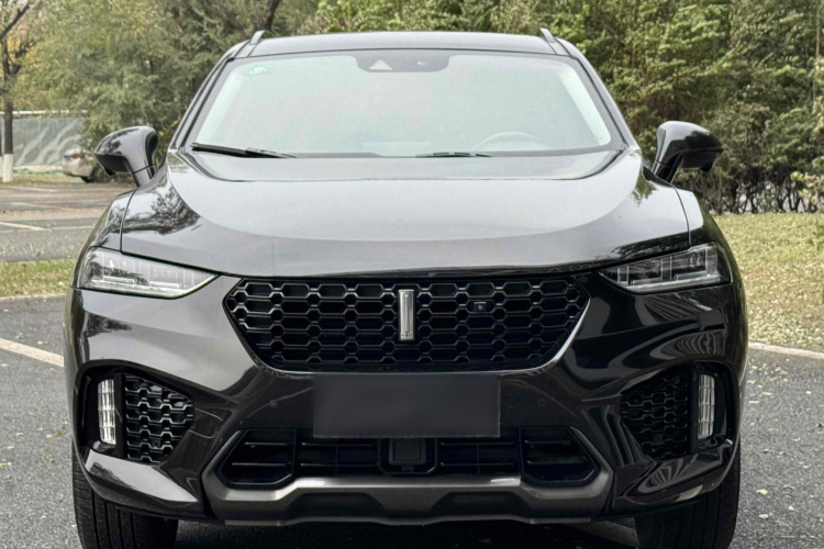 魏牌 VV7 2019款 升级款 2.0T 超豪型 国VI车身外观6005