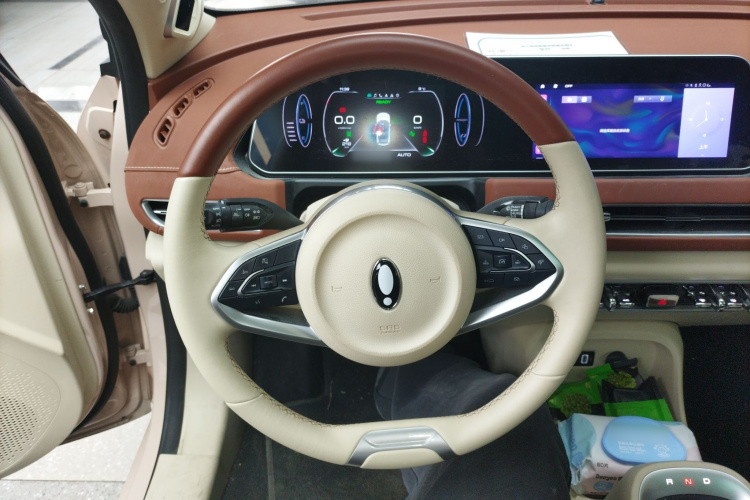 欧拉好猫 2021款 400km标准续航 维纳斯版 三元锂局部细节13