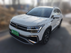 大众 途岳 2024款 300TSI 两驱满月版
