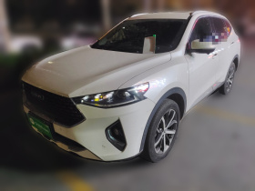 哈弗F7 2020款 1.5T 两驱i潮