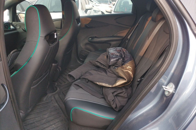 比亚迪 海豚 2024款 荣耀版 420km 自由版中控内饰7004