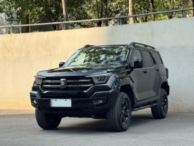 坦克400 2025款 2.0T 汽油版