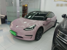 特斯拉 Model 3 2020款 改款 标准续航后驱升级版