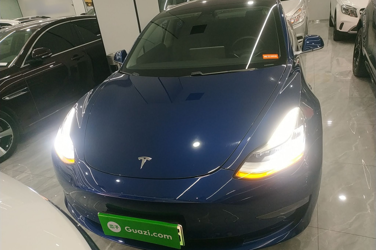 特斯拉 Model 3(进口) 2019款 长续航后驱版车身外观2