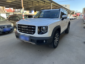 哈弗大狗 2021款 1.5T DCT两驱边牧版