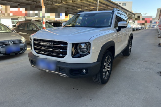 哈弗大狗 2021款 1.5T DCT两驱边牧版