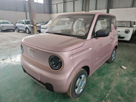 吉利银河 2024款 熊猫mini 200km 耐力熊