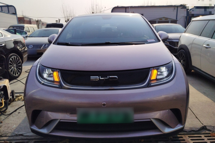 比亚迪 海豚 2023款 420km 时尚版车身外观2