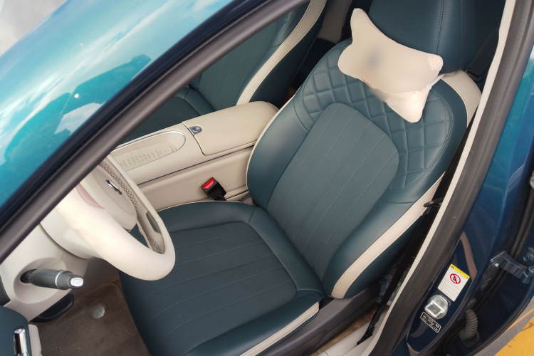 欧拉好猫 2023款 401km标准续航 豪华型 磷酸铁锂中控内饰19