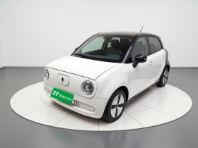 欧拉黑猫 2022款 301km 萌宠版 磷酸铁锂