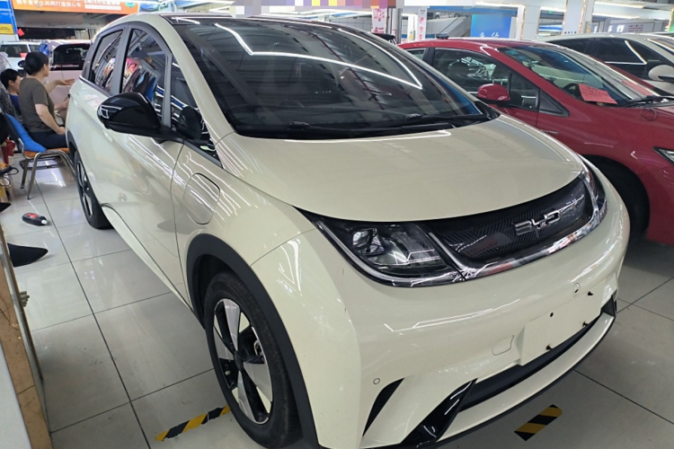 比亚迪 海豚 2023款 420km 时尚版车身外观3