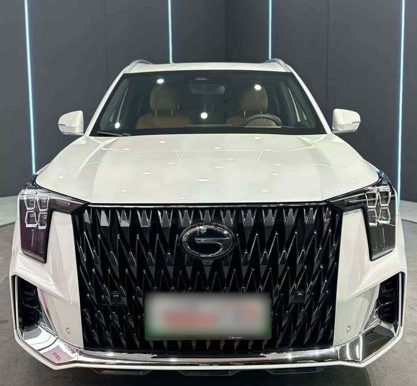广汽传祺 传祺ES9 2024款 PHEV 143km Pro+(3)