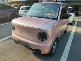 吉利银河 2023款 熊猫mini 200km 耐力熊