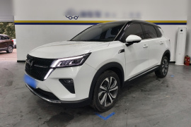 五菱汽车 五菱星辰 2022款 2.0L DHT电速款