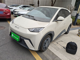 比亚迪 海鸥 2024款 荣耀版 305km 活力版