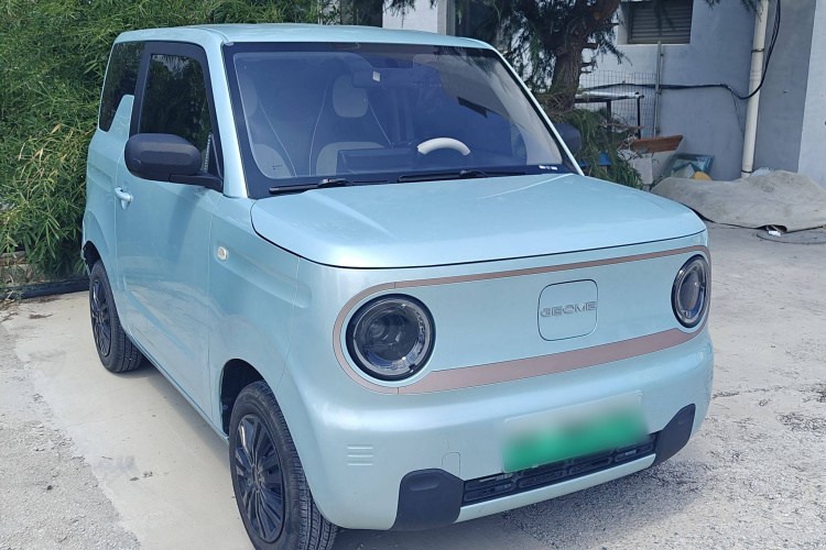 吉利汽车 2023款 熊猫mini 200km 耐力熊车身外观6005