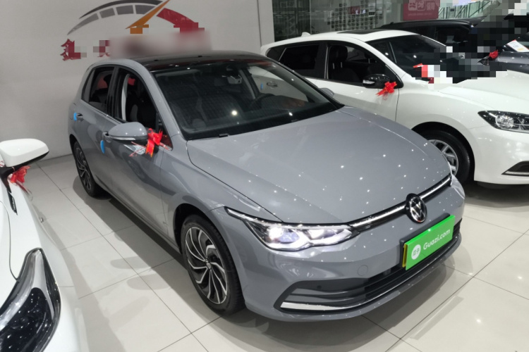 大众 高尔夫 2023款 280TSI DSG Pro 20周年纪念版车身外观6002