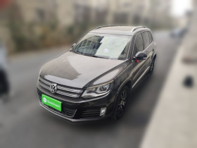 大众 途观 2013款 1.8TSI 自动两驱豪华型