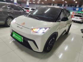 比亚迪 海鸥 2023款 飞翔版