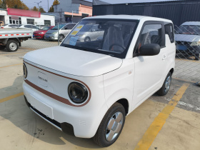 吉利银河 2024款 熊猫mini 200km 耐力熊