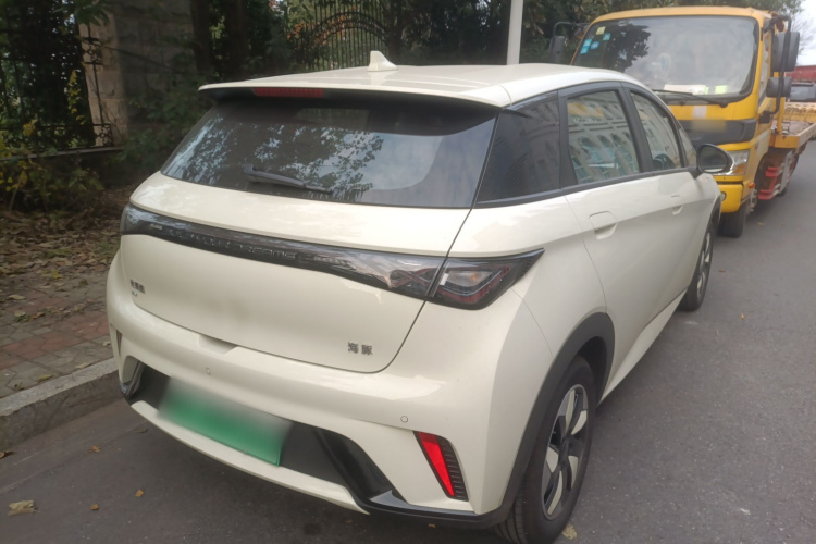 比亚迪 海豚 2025款 420km 自由版车身外观7