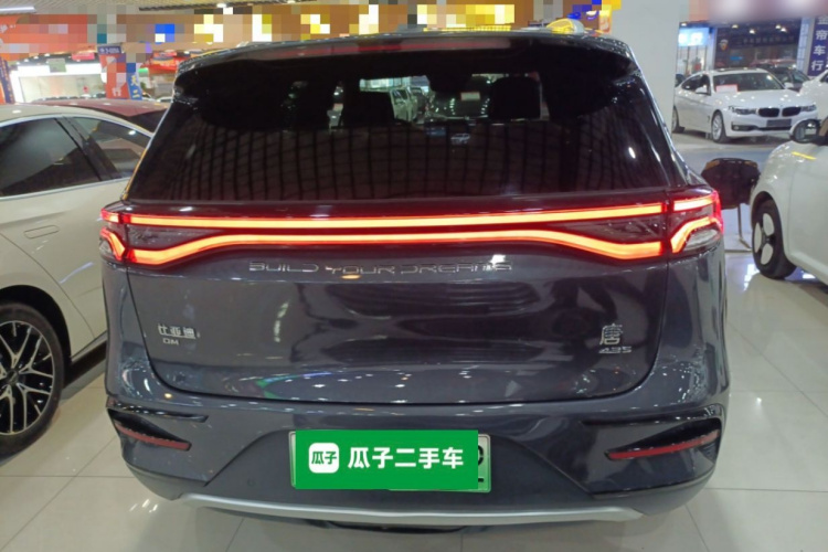 比亚迪 唐新能源 2021款 DM 2.0T 四驱高性能版创世旗舰型车身外观6