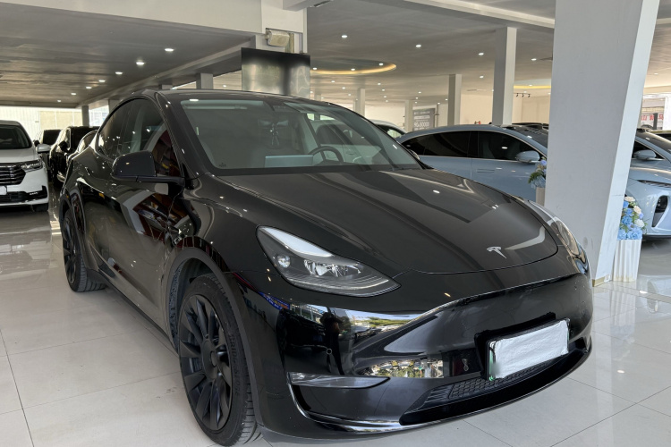 特斯拉 Model Y 2021款 标准续航后驱版车身外观6004