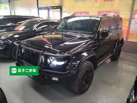 坦克300 2021款 城市版 2.0T 很有型