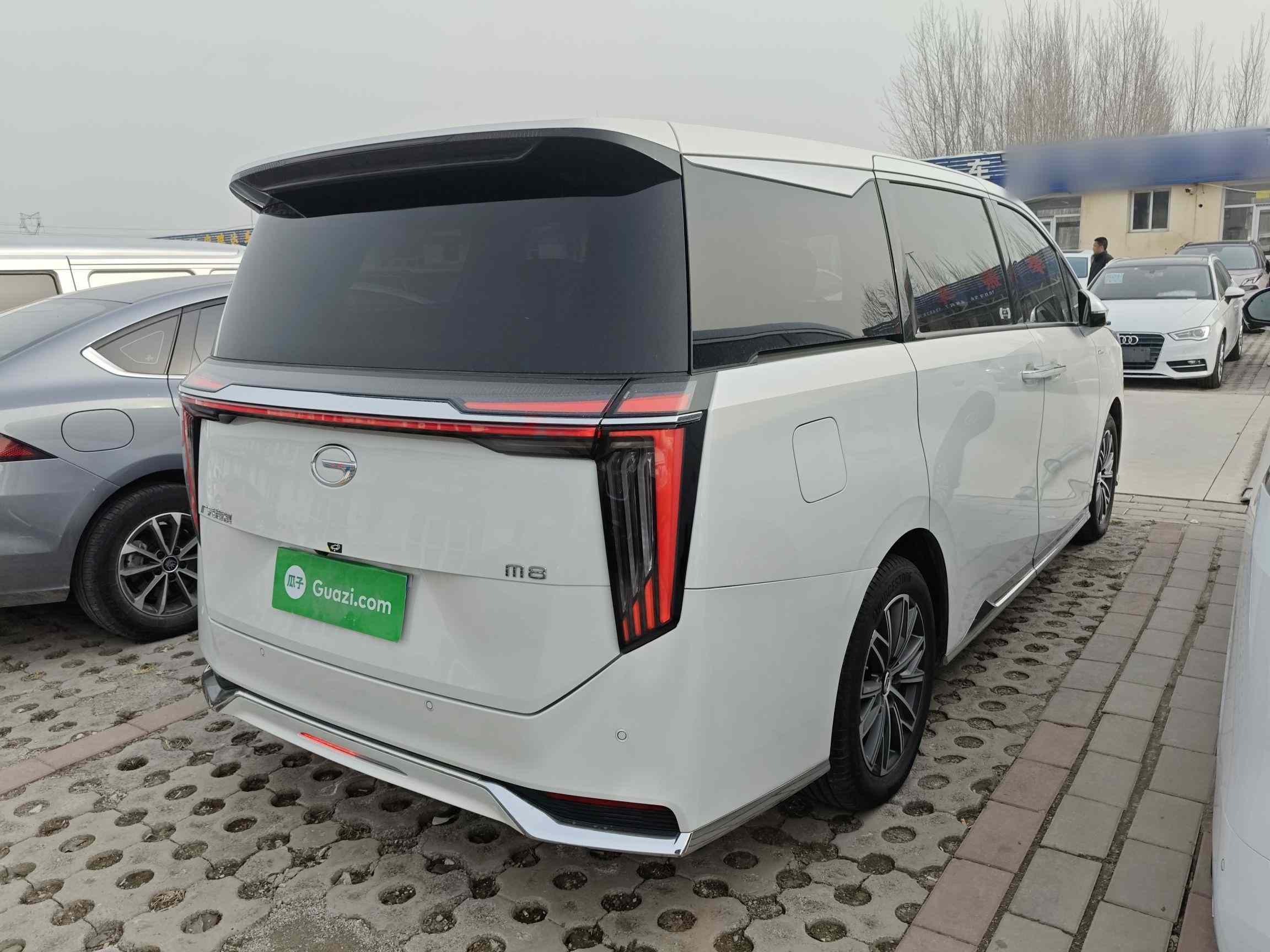 广汽传祺 传祺M8 2024款 大师系列 400T 尊贵版(5)